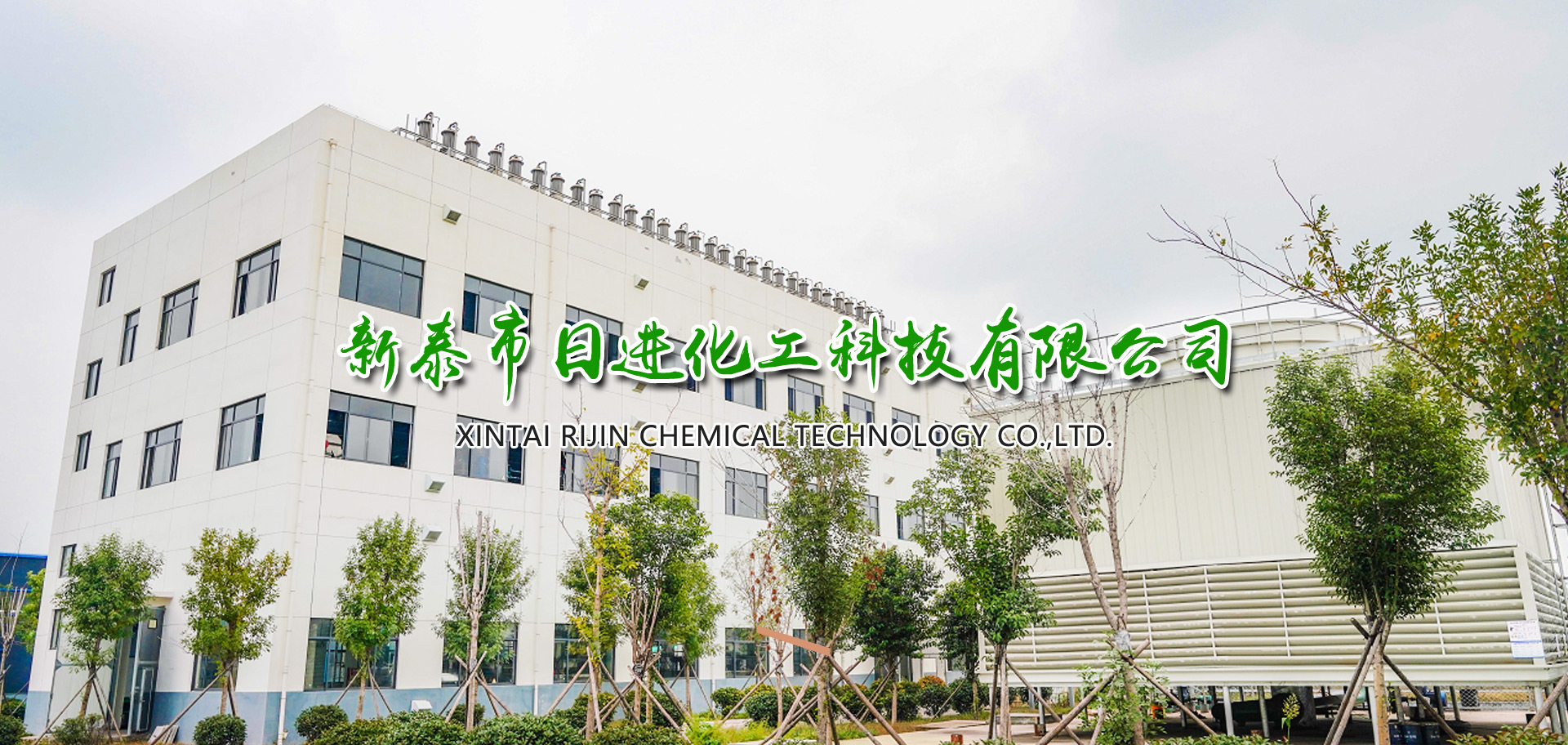 信息技術(shù)咨詢(xún)